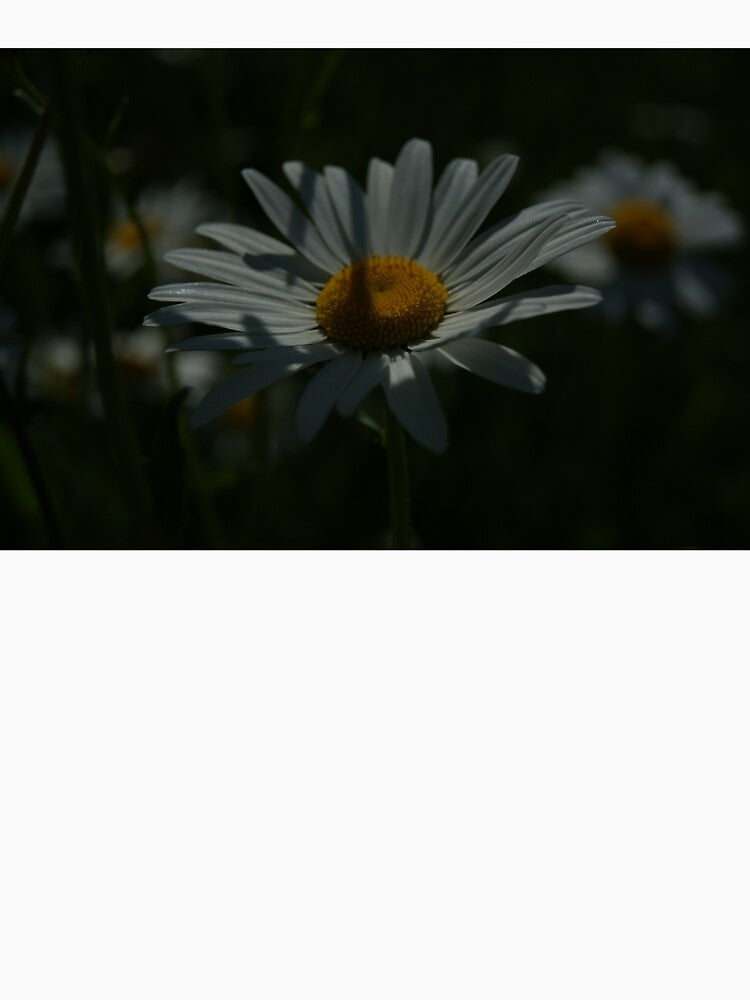 simple by Manonlpstn