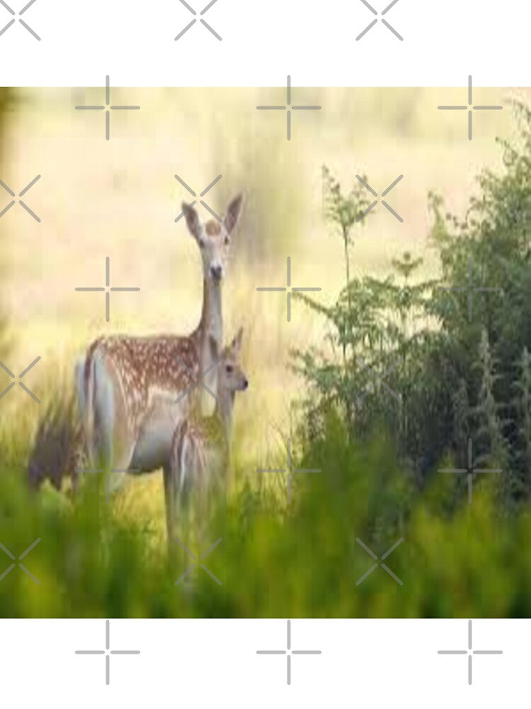 Well designed deer with good weather by Sameer Shrivastava