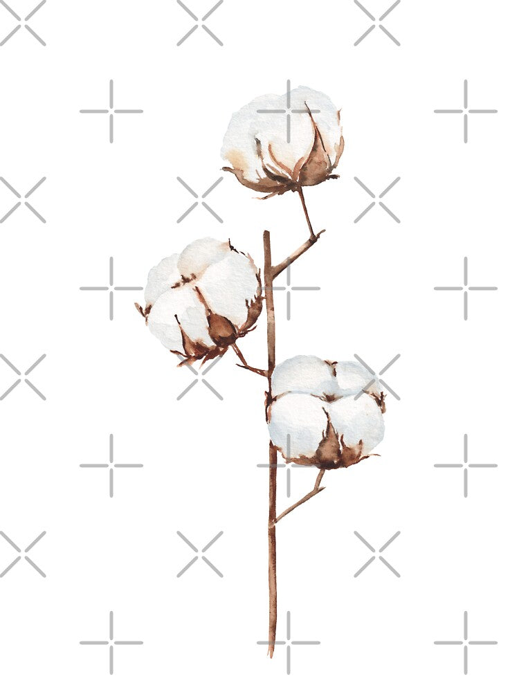 Watercolor cotton flowers by InnaPatiutko