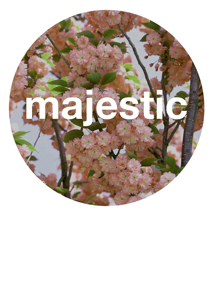 Majestic casual unofficial design by Spongebot