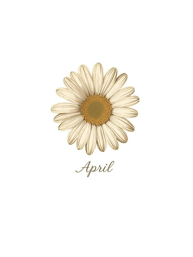 April Birth Flower - Daisy by AnnaMazingShop