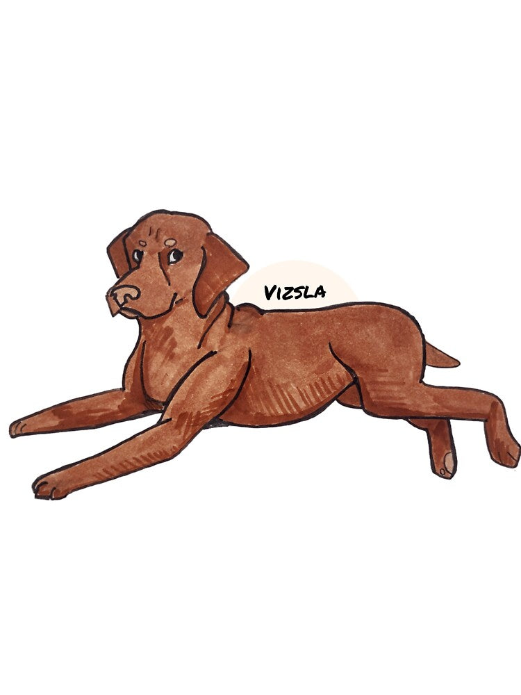 Vizsla by the2000scalled