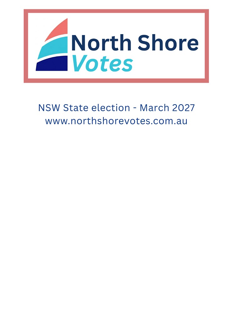 North Shore Votes t-shirt by NorthShoreVotes_