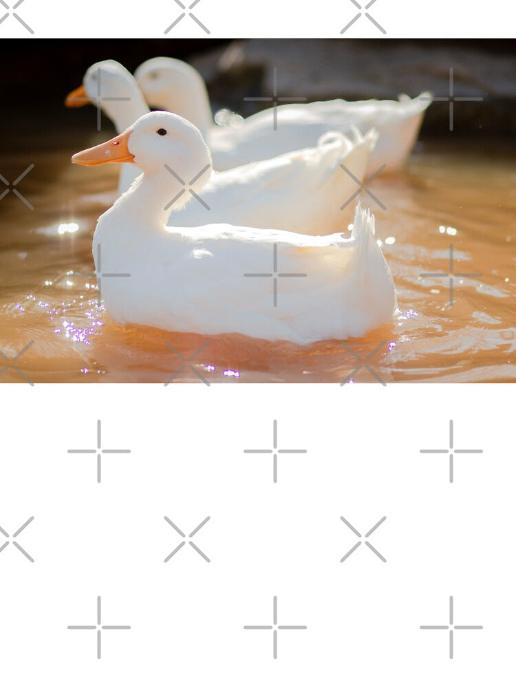 Ducks by the river by danett