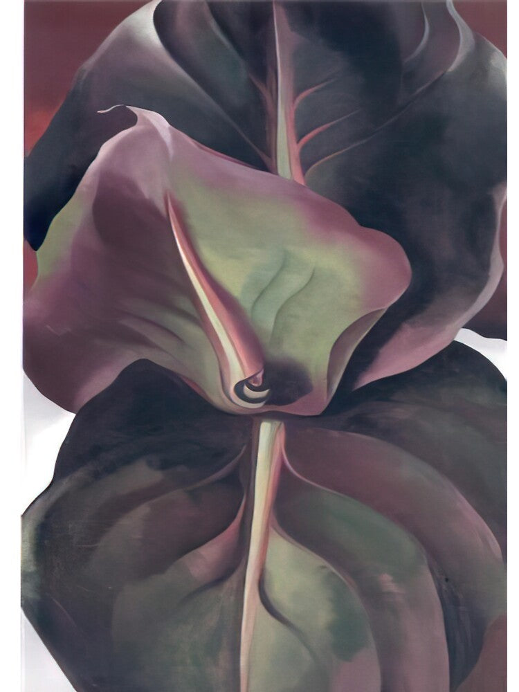 Georgia O'keeffe by Molinartprit