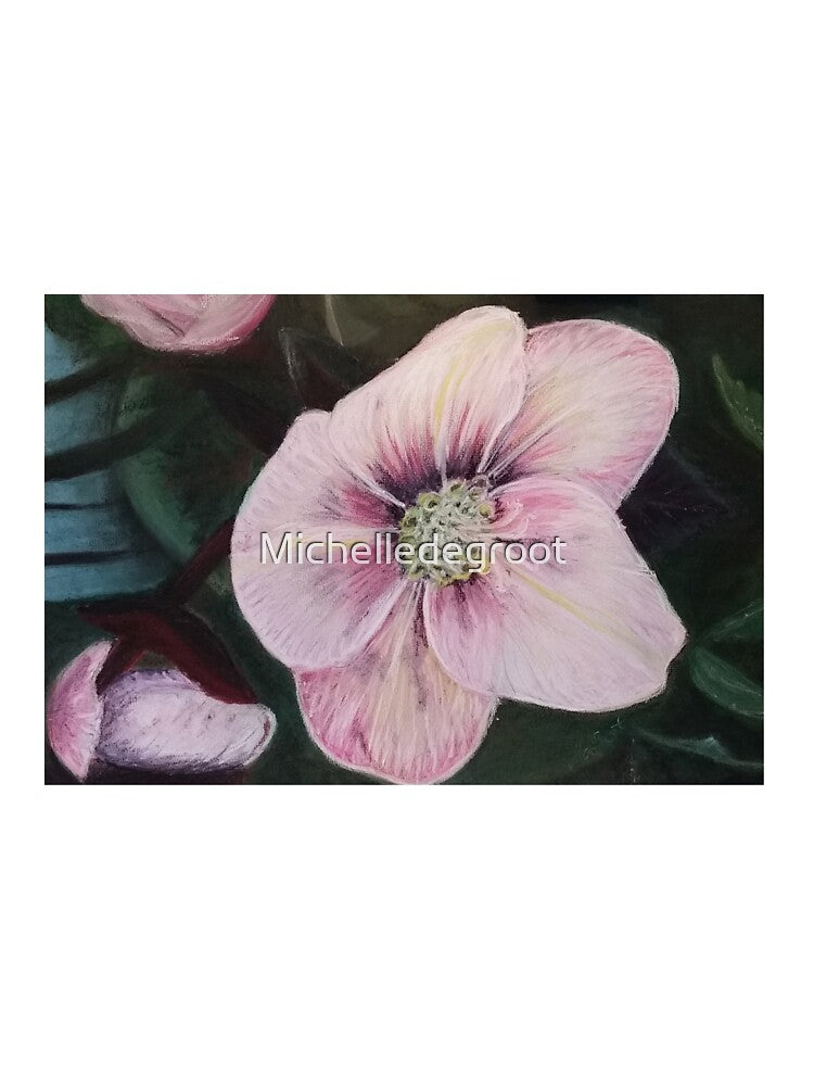 Helleborus by Michelledegroot
