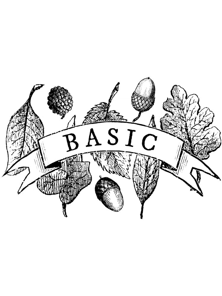 Basic by karlaiterica