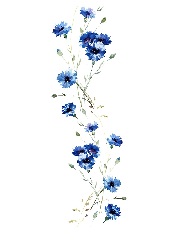 flower illustration by ZanaKirania