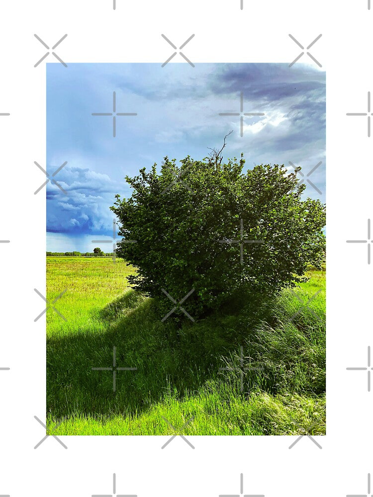Nature Green Grass Tree Sky Clouds Italian Landscape by eleonoraingrid