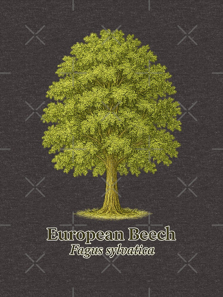 European Beech Botanical Illustration – Fagus sylvatica by BloomKind