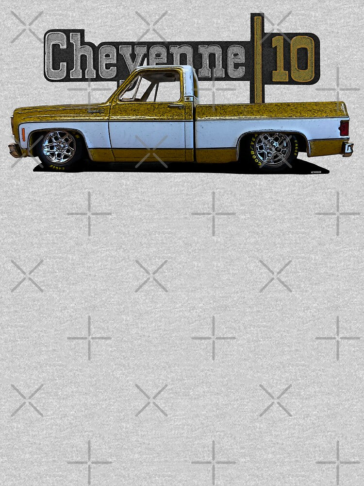 1973 Slammed Chevy C10 Cheyenne by hotroddude