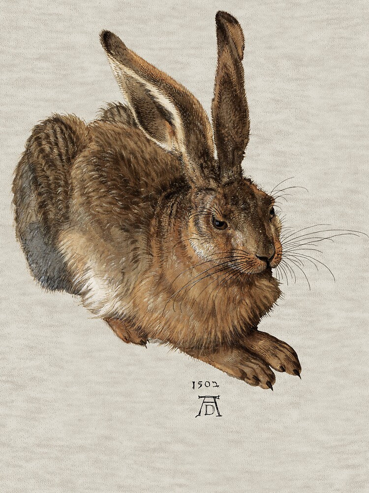 Albrecht Dürer - Young Hare by elinaarbidane
