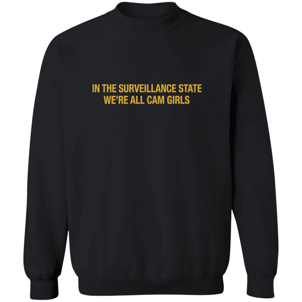 In The Surveillance State We’re All Cam Girls Shirt