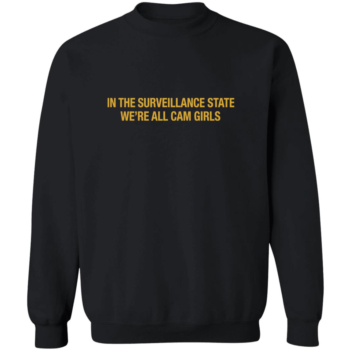 In The Surveillance State We’re All Cam Girls Shirt
