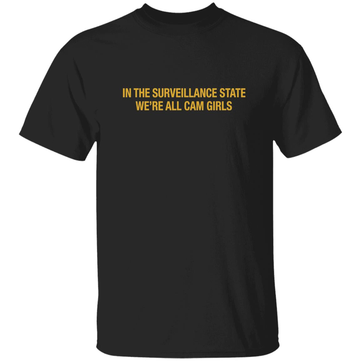 In The Surveillance State We’re All Cam Girls Shirt