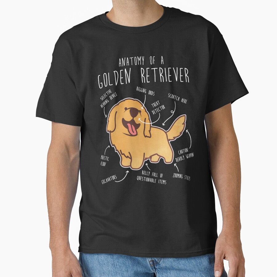 Golden Retriever Anatomy by Clara Hollins