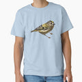 Goldcrest Color Design by designsasstultd