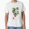 Retro Kitchen - Plums by Inspirationmotivation