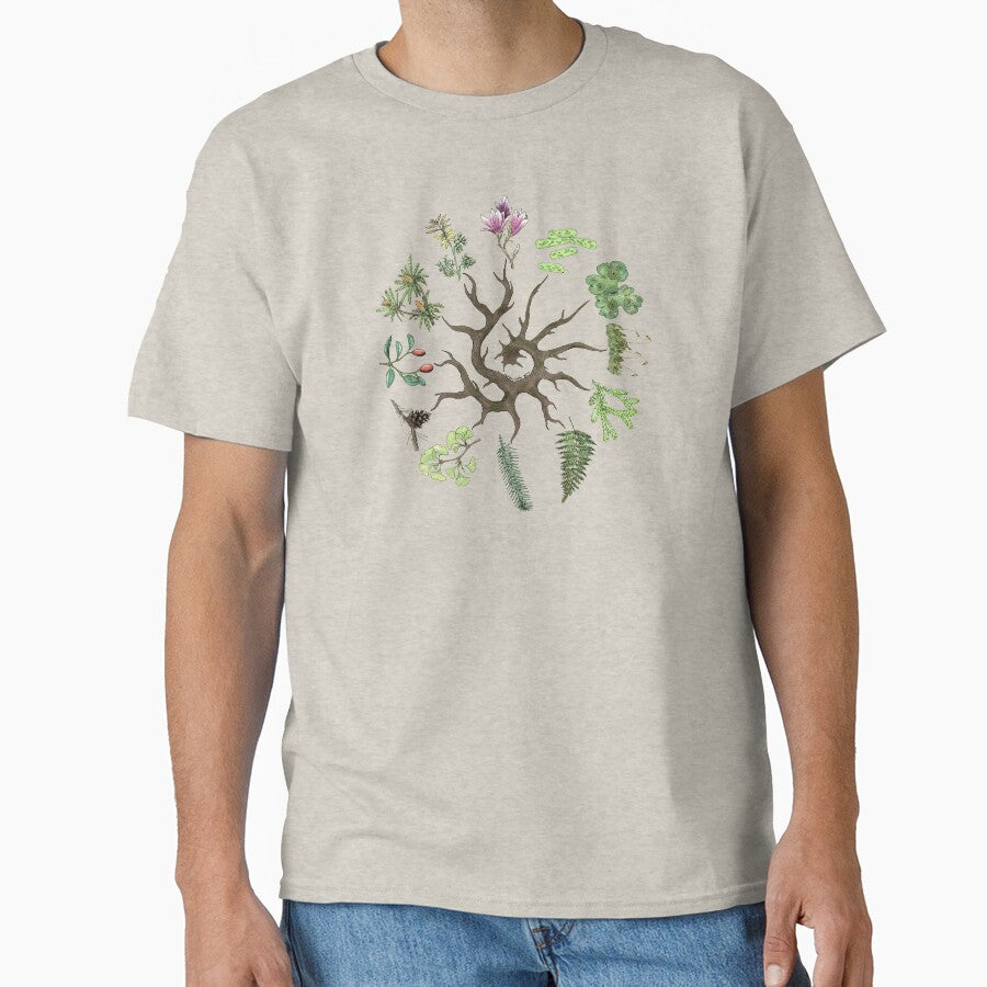 Plant Evolutionary Tree (Plain Background) by Julianne Kiely