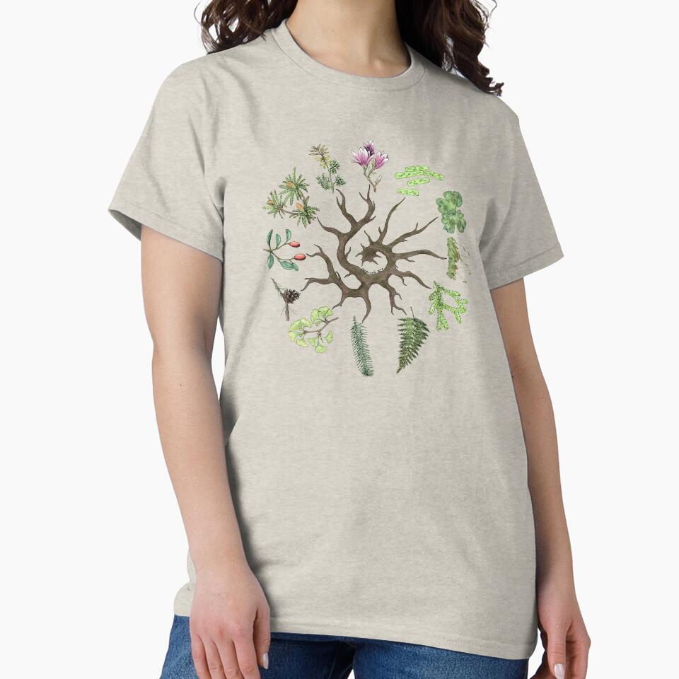 Plant Evolutionary Tree (Plain Background) by Julianne Kiely