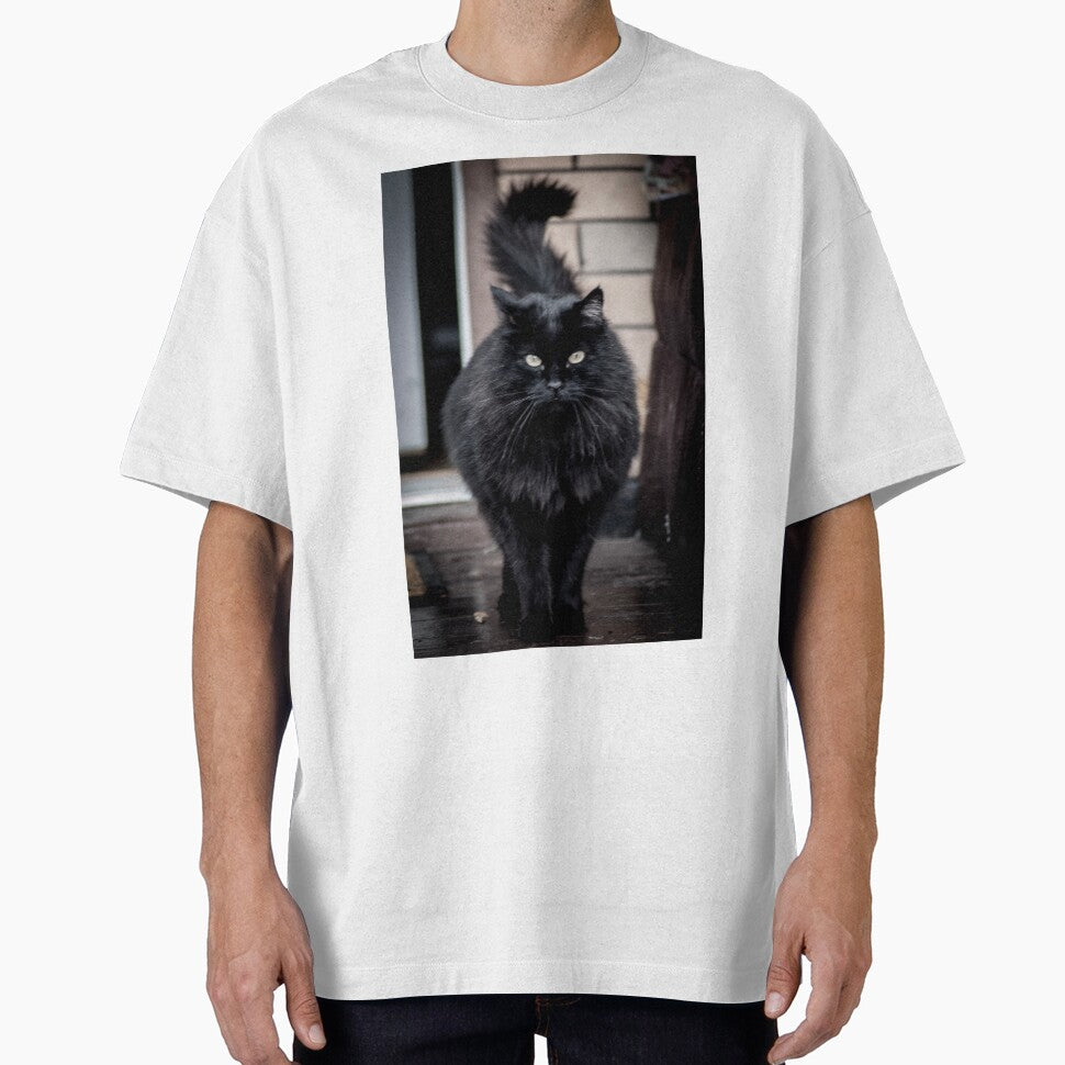 stylish black fluffy cat by Sillygirl101