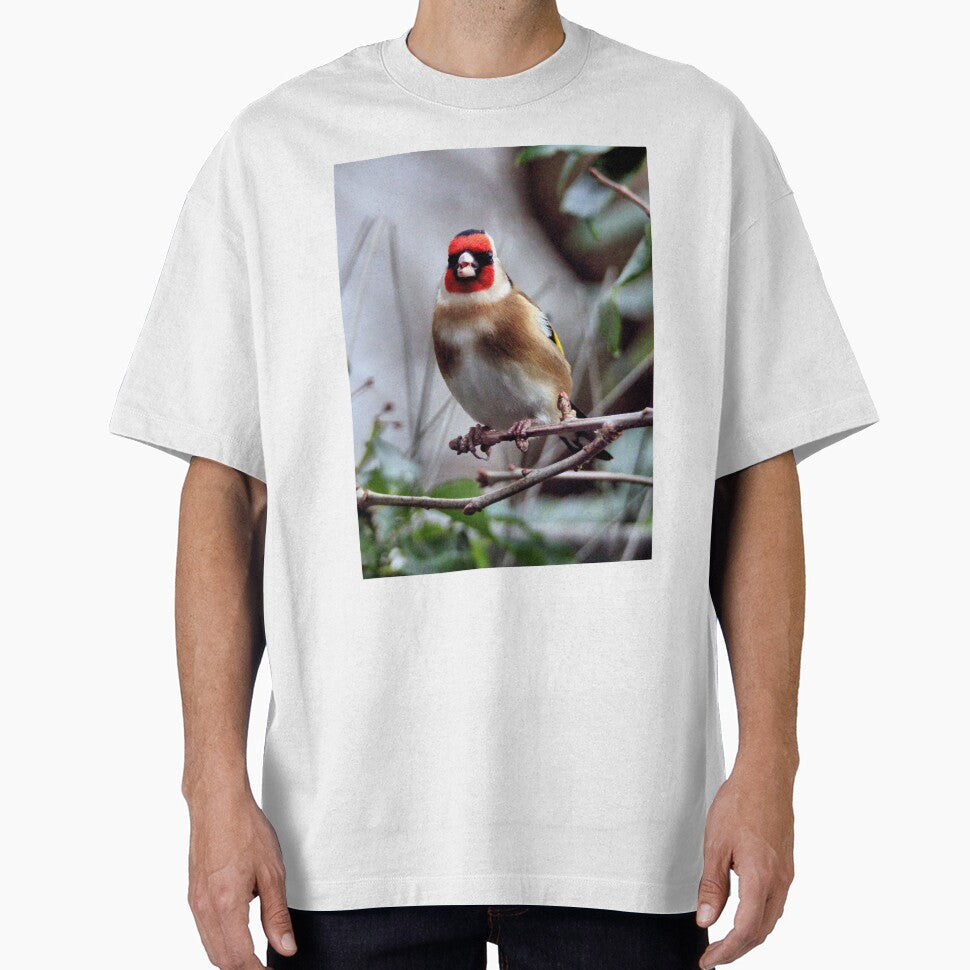 goldfinch by KathleenDawson