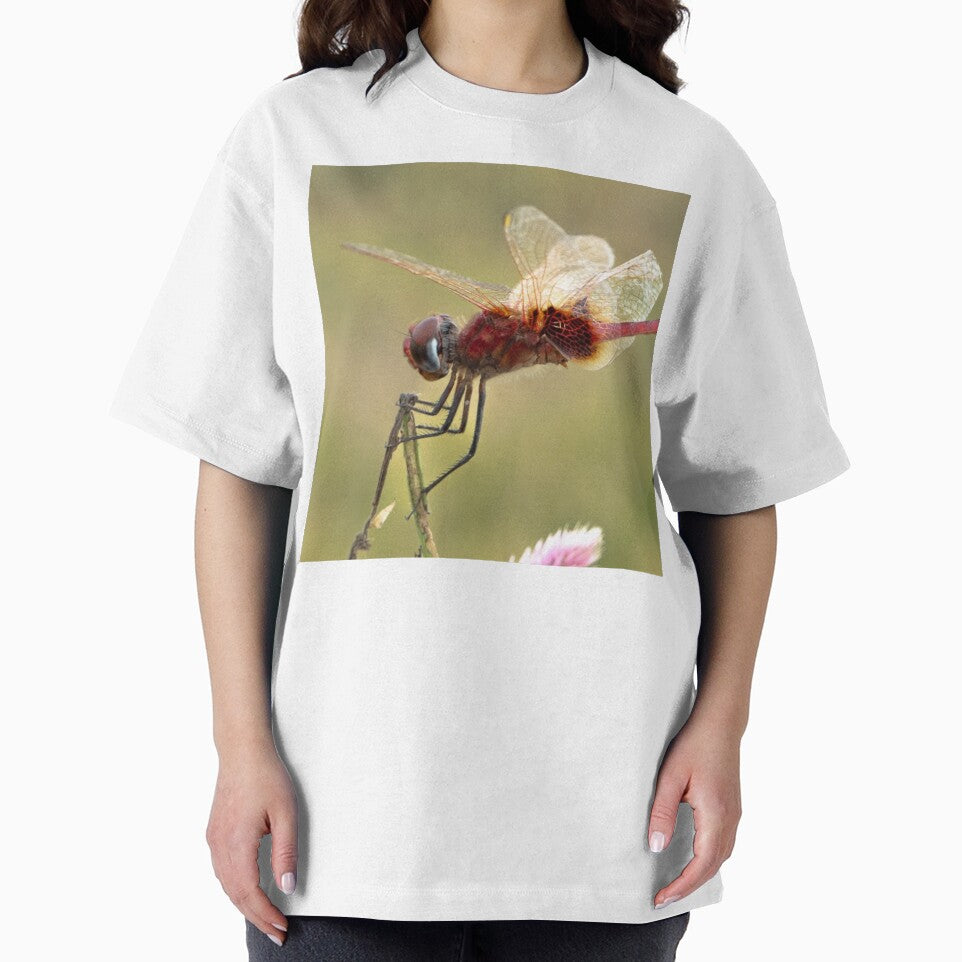 Migrating Birds Holiday Stationstores bHorizon by apiolands