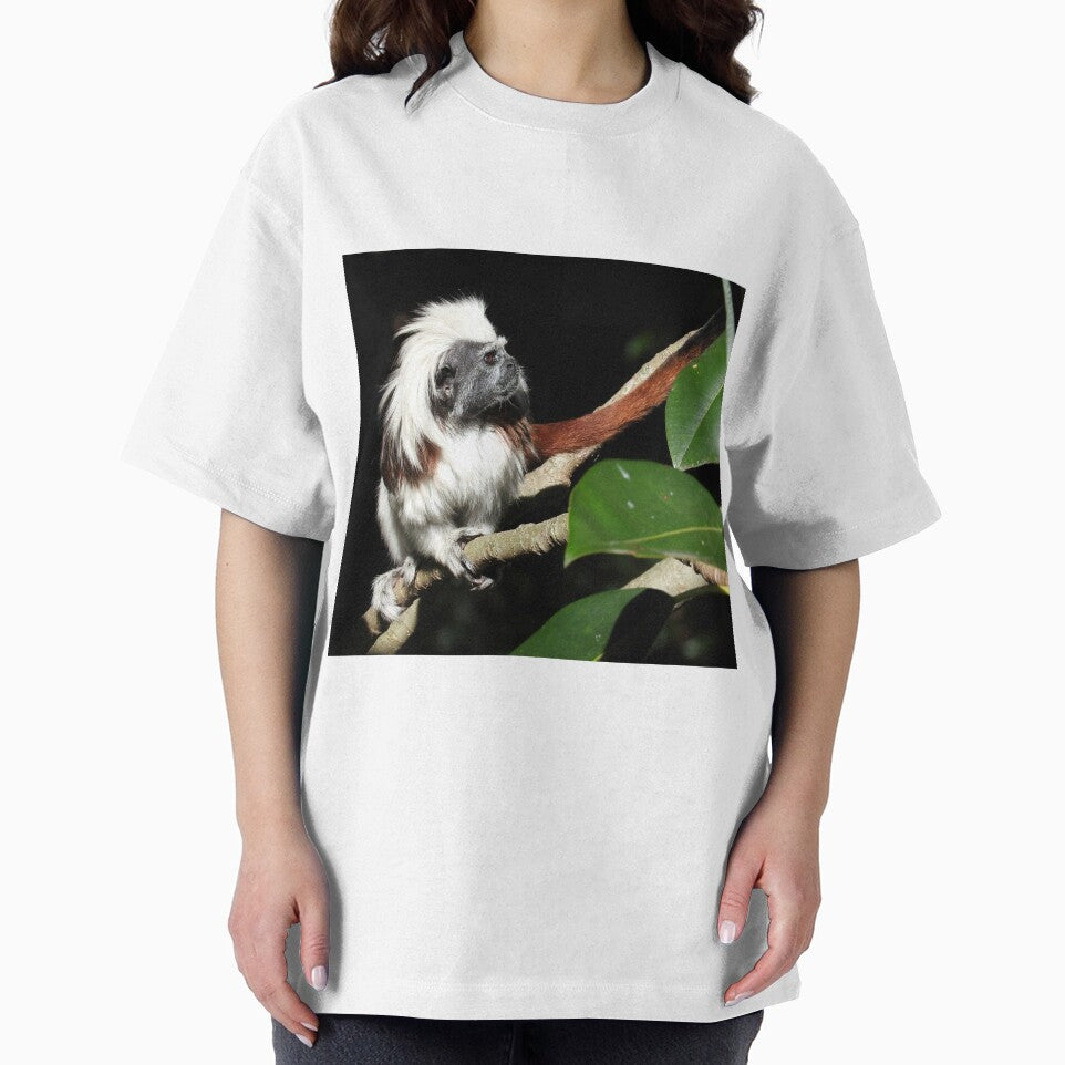 Cotton-top Tamarin by kirstybush