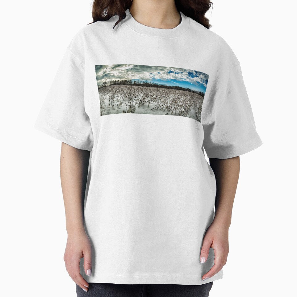 Cotton field covered in snow by GestaltImagery