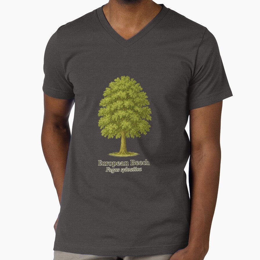 European Beech Botanical Illustration – Fagus sylvatica by BloomKind
